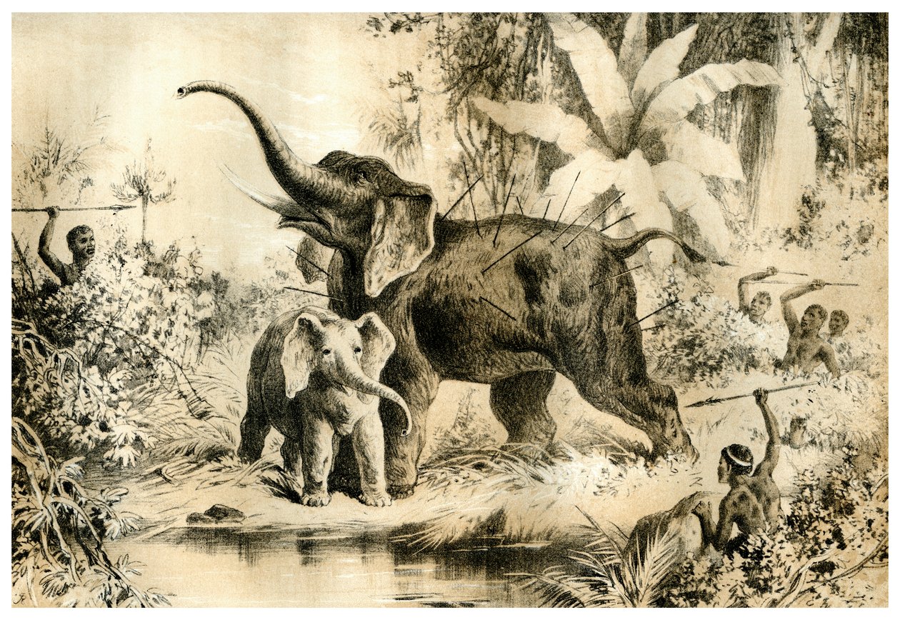 Nativos lanceando um elefante, 1883 de Unbekannt