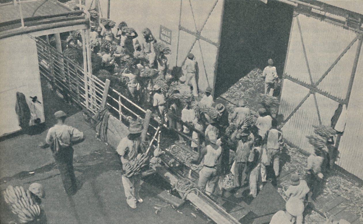 Nativos carregando bananas em Kingston, Jamaica, cantam salmos escoceses, 1937 de Unbekannt