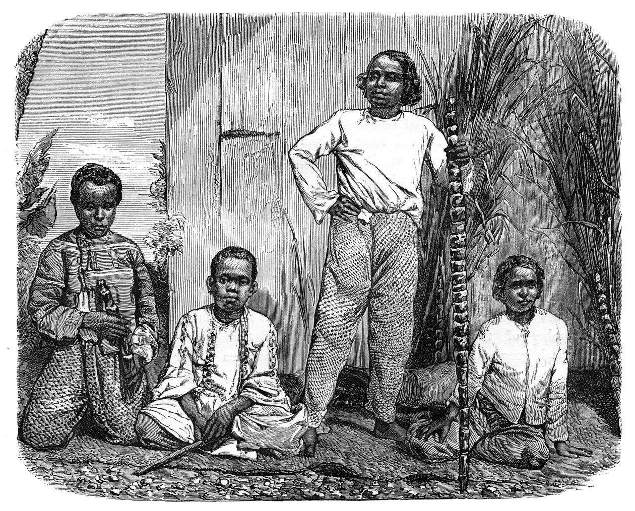 Nativos da ilha da reunião, c1890 de Unbekannt