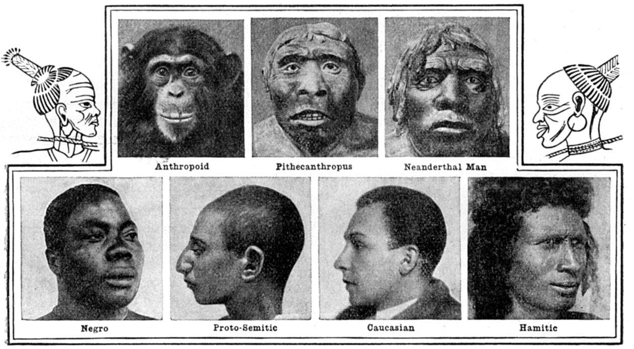 Desenhos evolutivos da natureza nos narizes, 1922 de Unbekannt