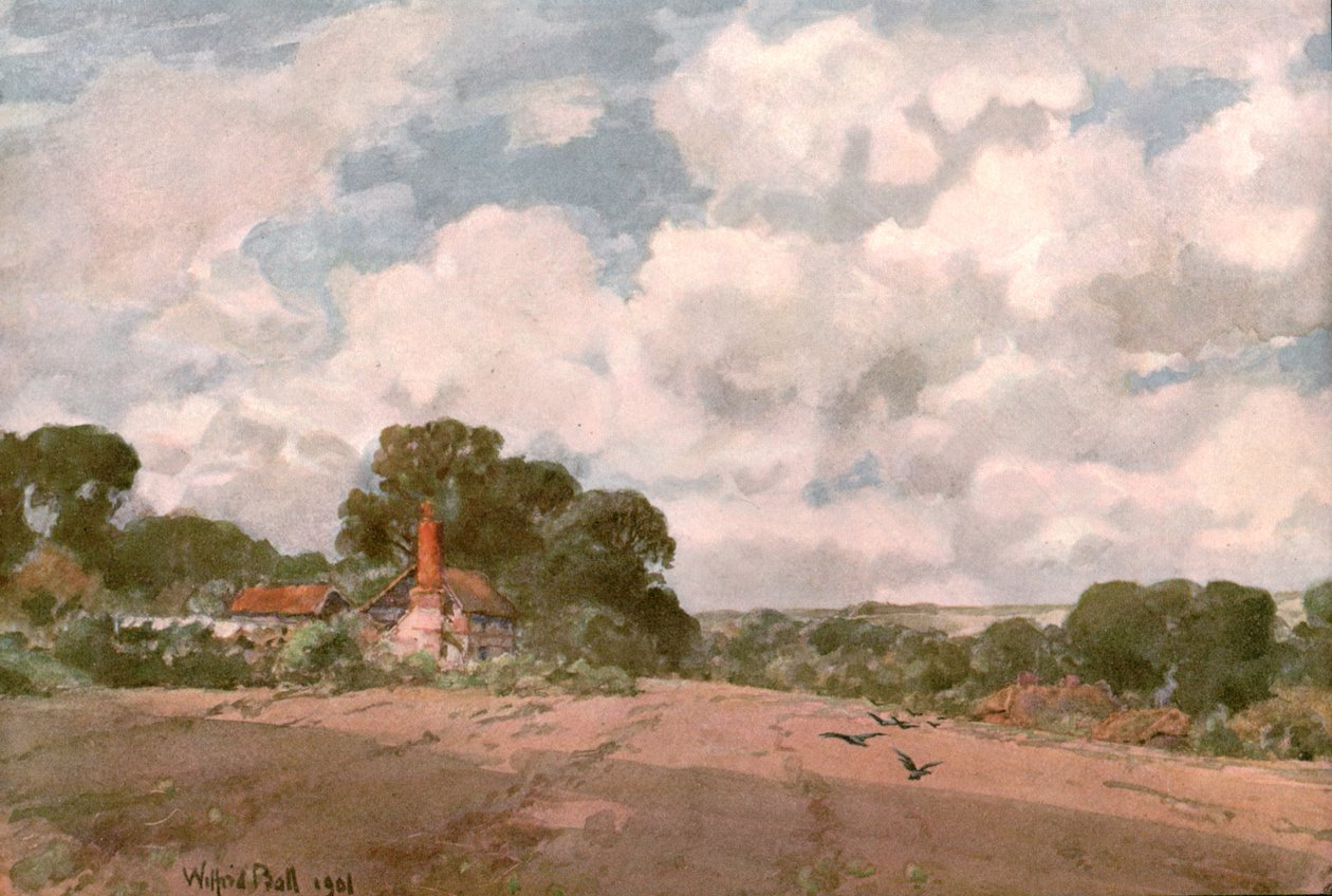Perto do Hogsback, Surrey, 1901. de Unbekannt
