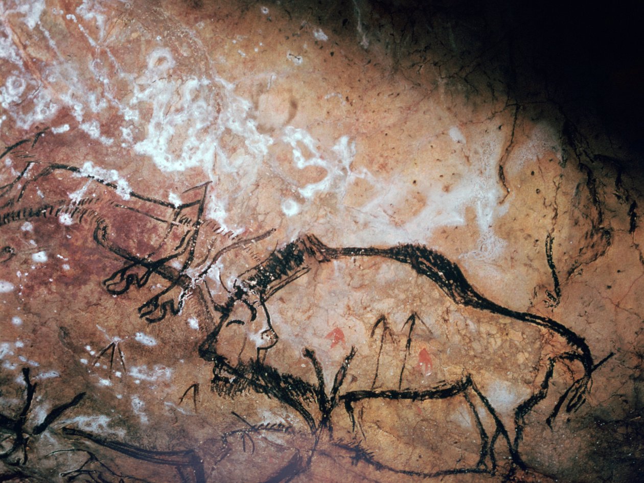 Pintura rupestre neolítica de um bisão ferido de Unbekannt