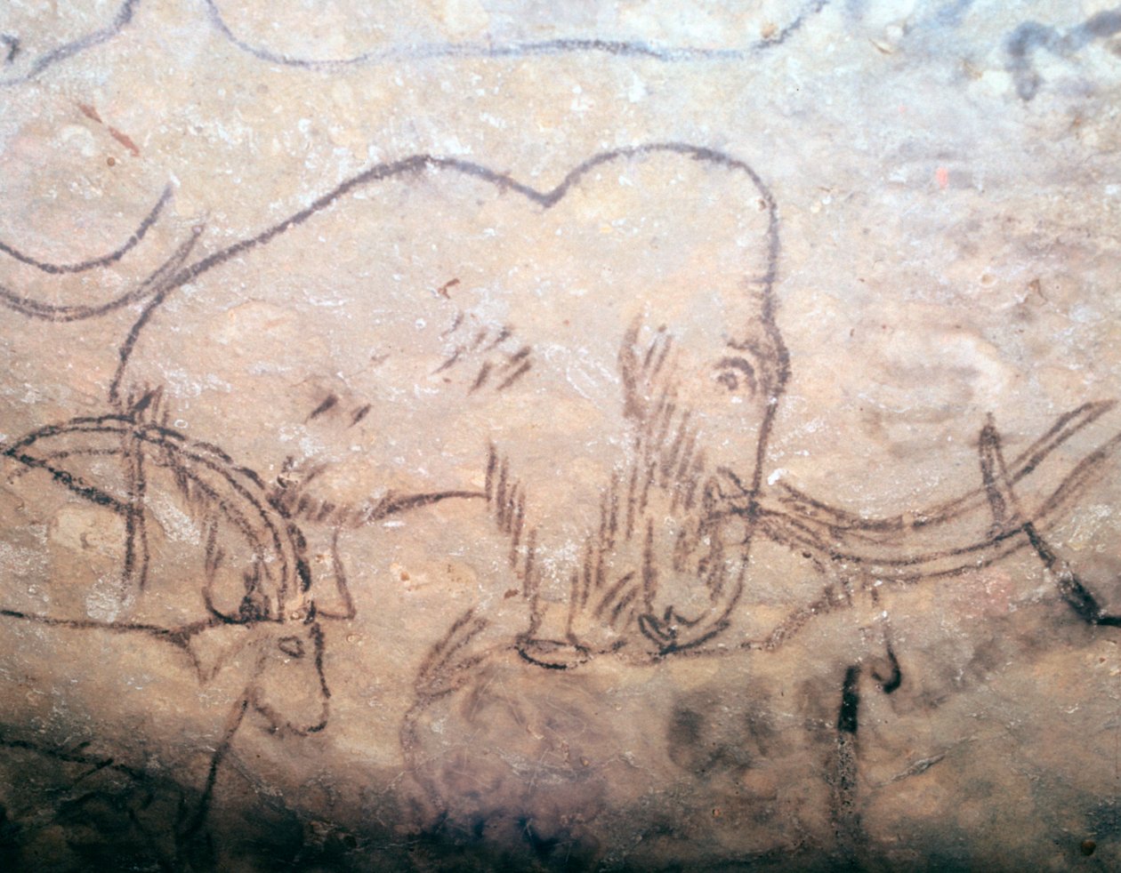 Pintura rupestre neolítica de mamutes e íbexs de Unbekannt