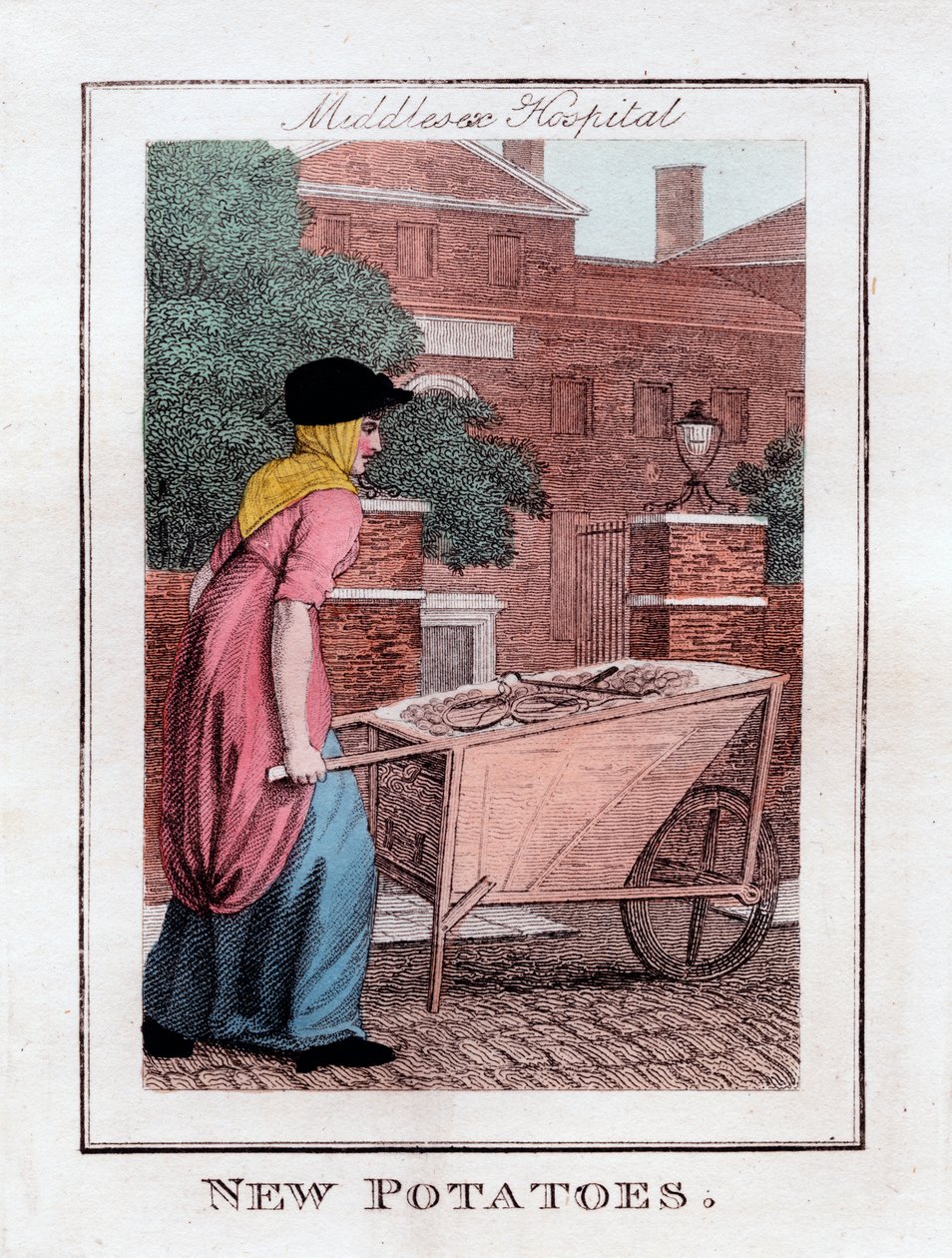 Novas batatas, Middlesex Hospital, Londres, 1805 de Unbekannt