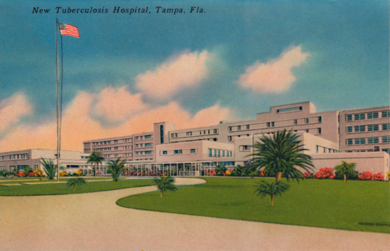 Novo Hospital de Tuberculose, Tampa, Flórida, c1940s de Unbekannt
