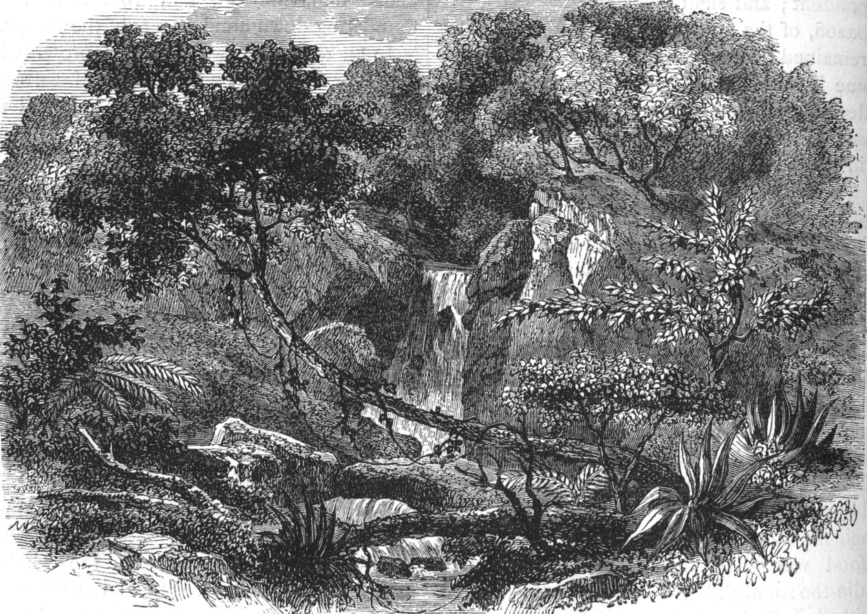 Paisagem da Nova Zelândia, c1880 de Unbekannt