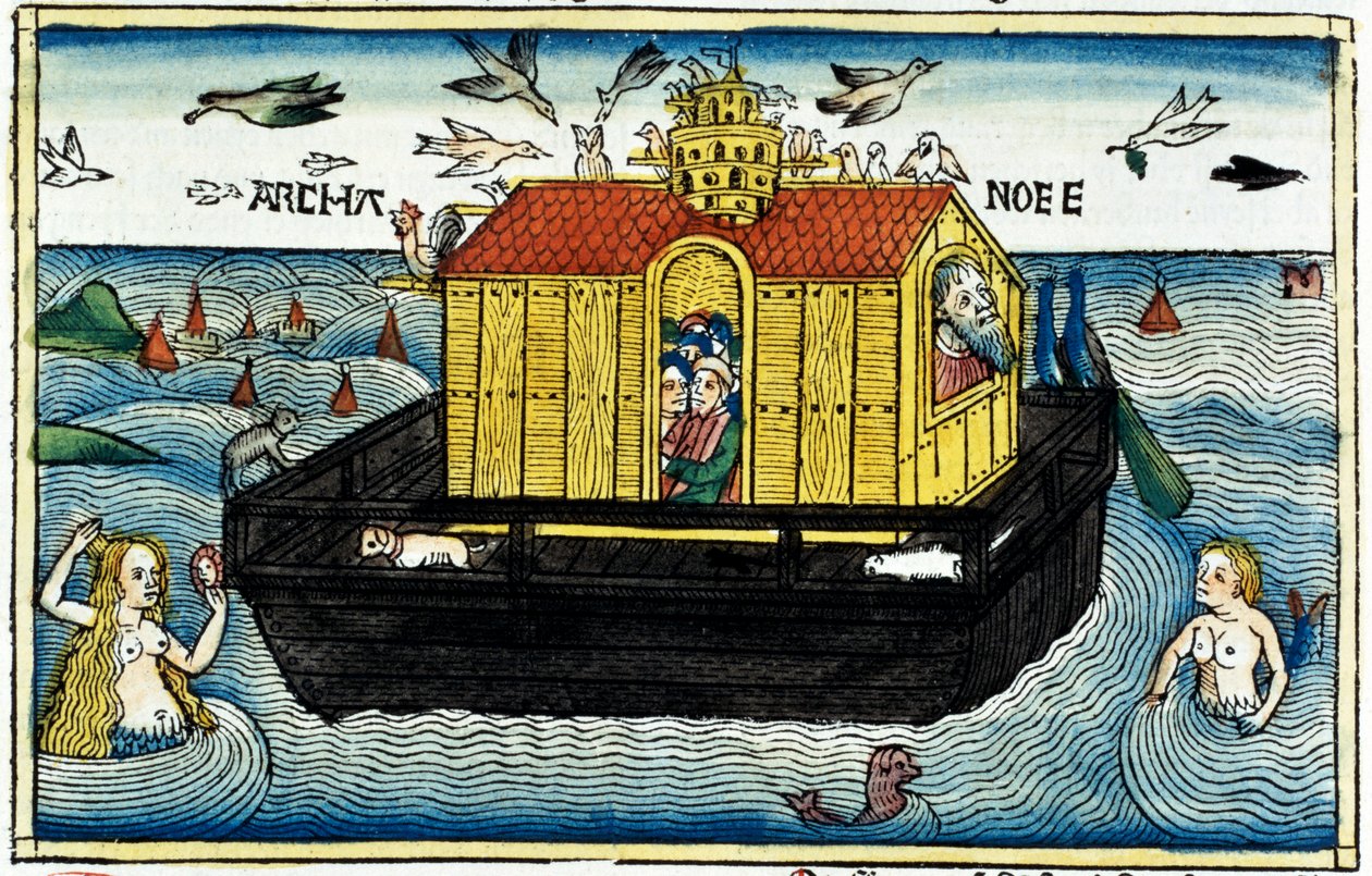 Arca de noé de Unbekannt