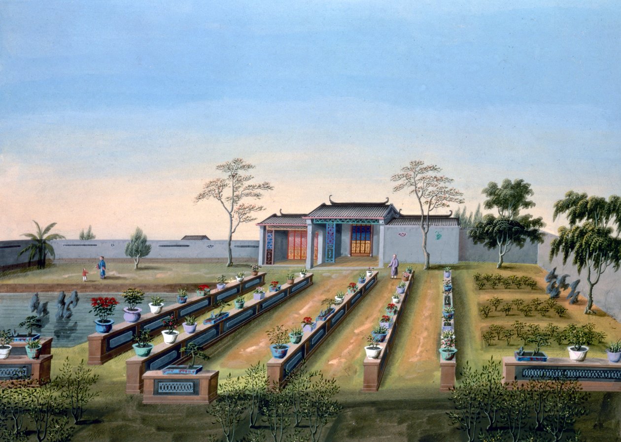 Jardim de viveiro, China, c1820-1840 de Unbekannt