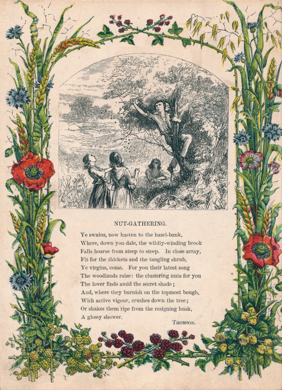 Nut-Gathering, de Thomson, c1900 de Unbekannt