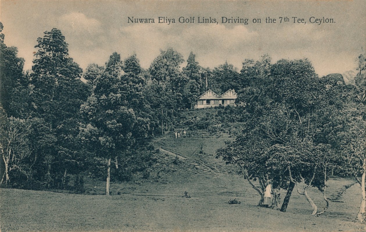 Ligações do golfe de Nuwara Eliya, dirigindo no 7o T, Ceilão, c1900 de Unbekannt