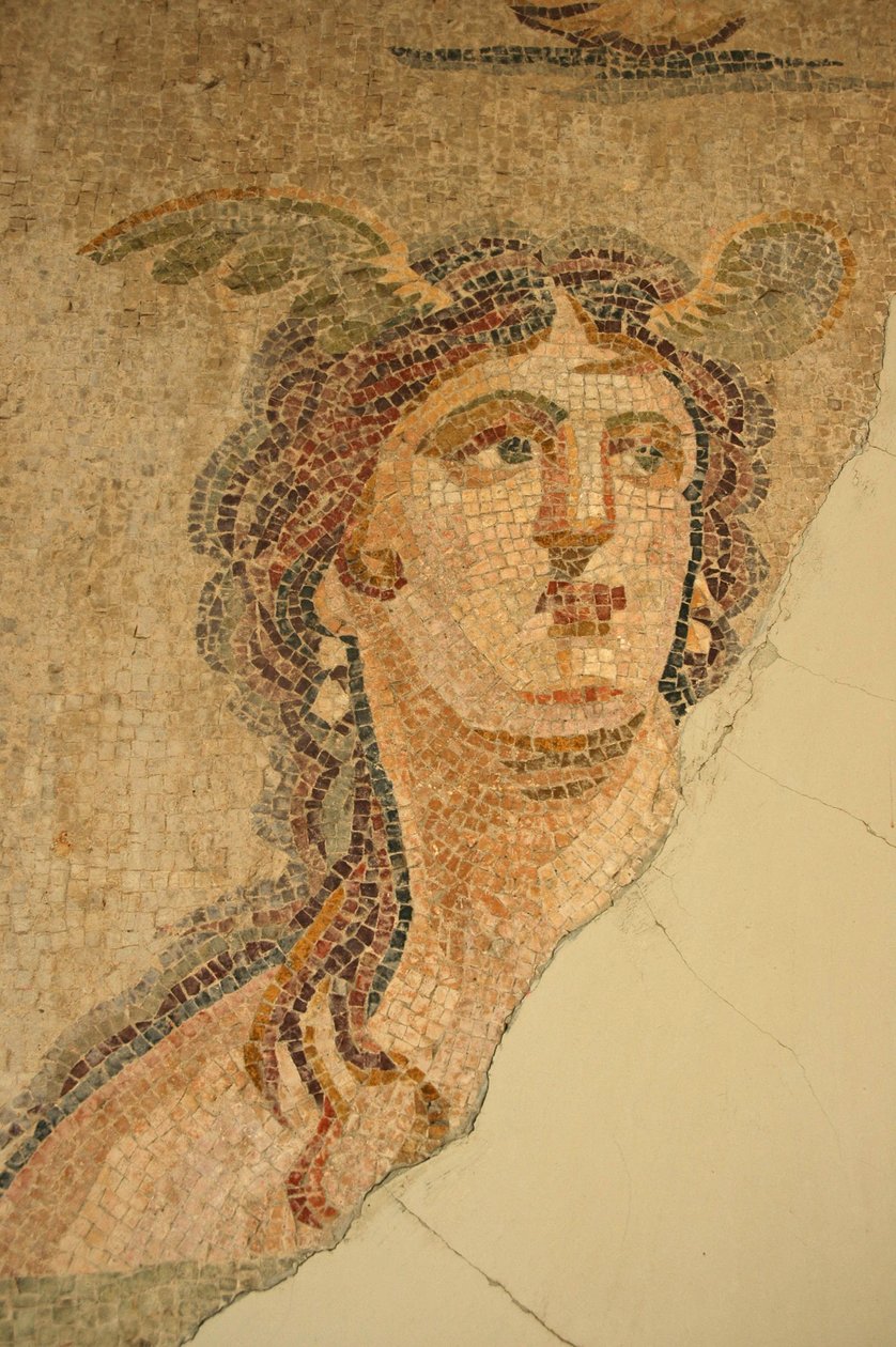 Oceanus e Thetis Mosaic, de Iskenderum, Turquia de Unbekannt