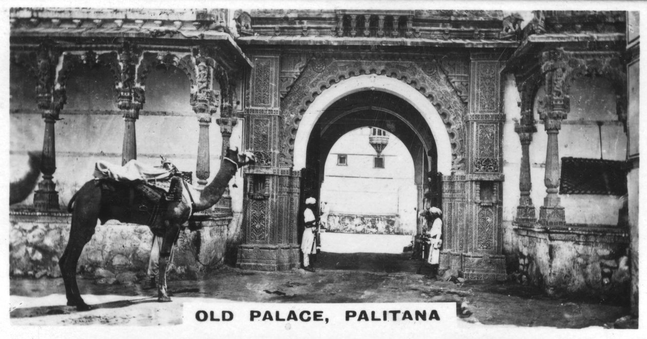 Palácio Velho, Palitana, Índia, c1925 de Unbekannt
