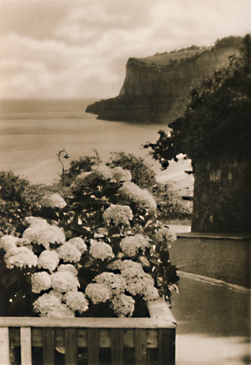 Cabeça velha de Shanklin, IW, c1920. de Unbekannt