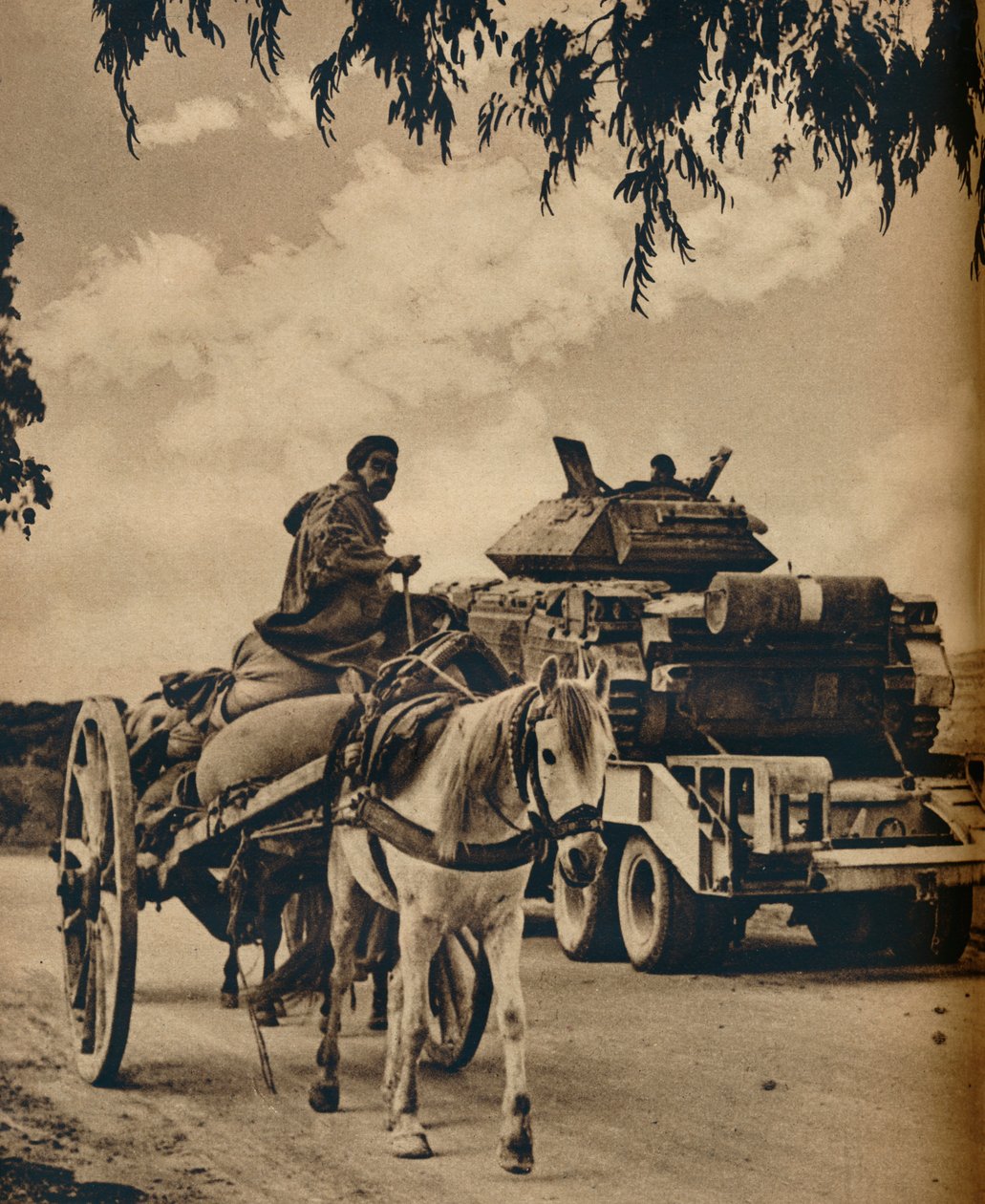 Velho e novo no norte da África, 1943 de Unbekannt