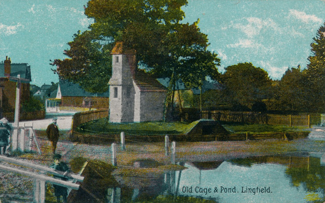 Gaiola e lagoa velhas, Lingfield, Surrey, c1905 de Unbekannt