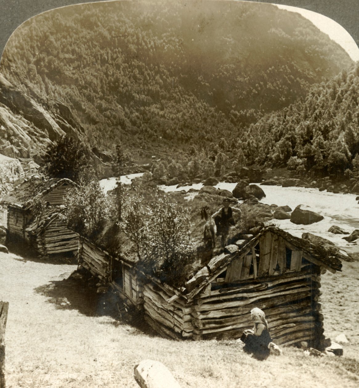 Casas de log velhas em Bratslandsdal, com as árvores que crescem em telhados cobertos de grama, Noruega, c1905. de Unbekannt