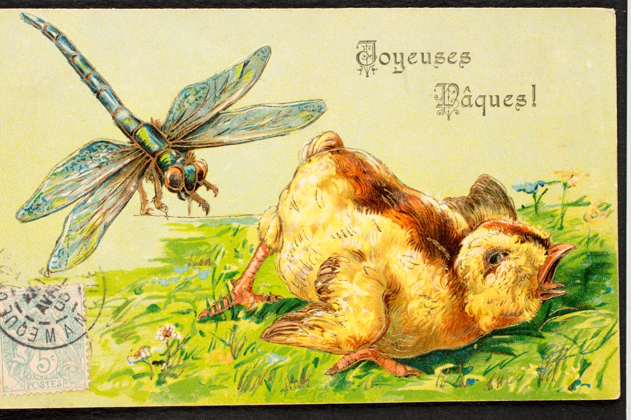 Cartão postal antigo/Páscoa Feliz/Chick/Dragonfly de Unbekannt