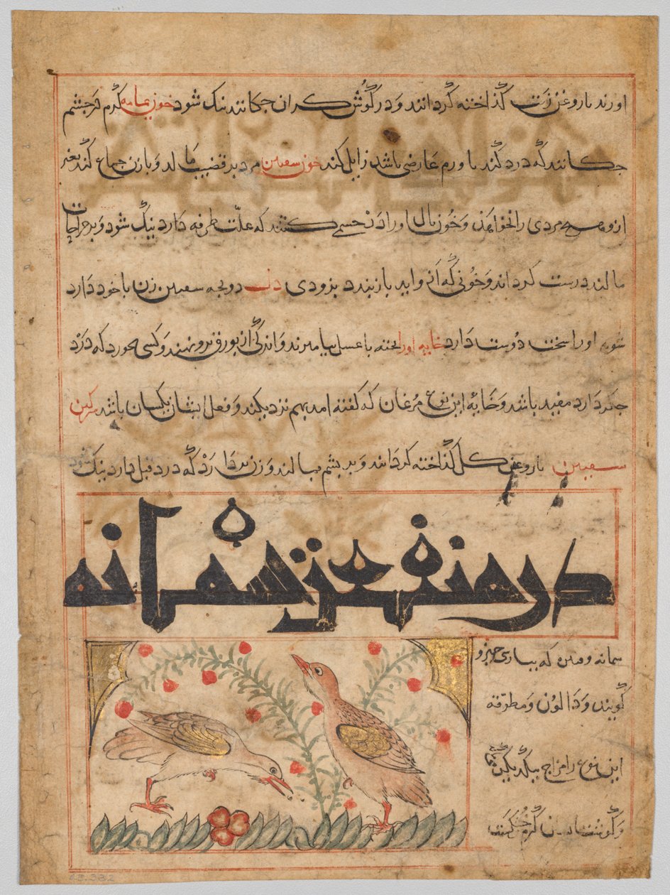 Sobre os Benefícios das Codornas, verso de um Manafi al-Hayawan ..., c. 1300 de Unbekannt