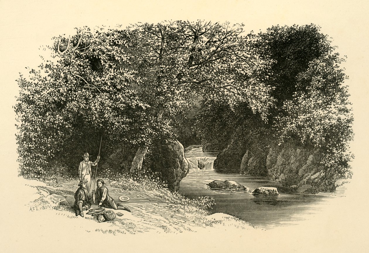 No Dargle, c1890. de Unbekannt