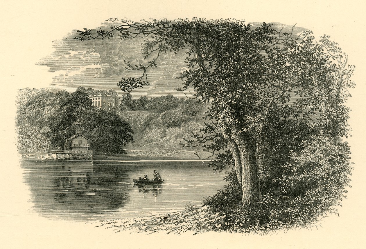 No dardo, c1890. de Unbekannt