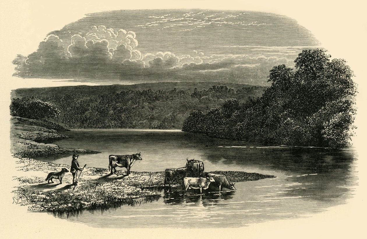 No Dee, c1890. de Unbekannt
