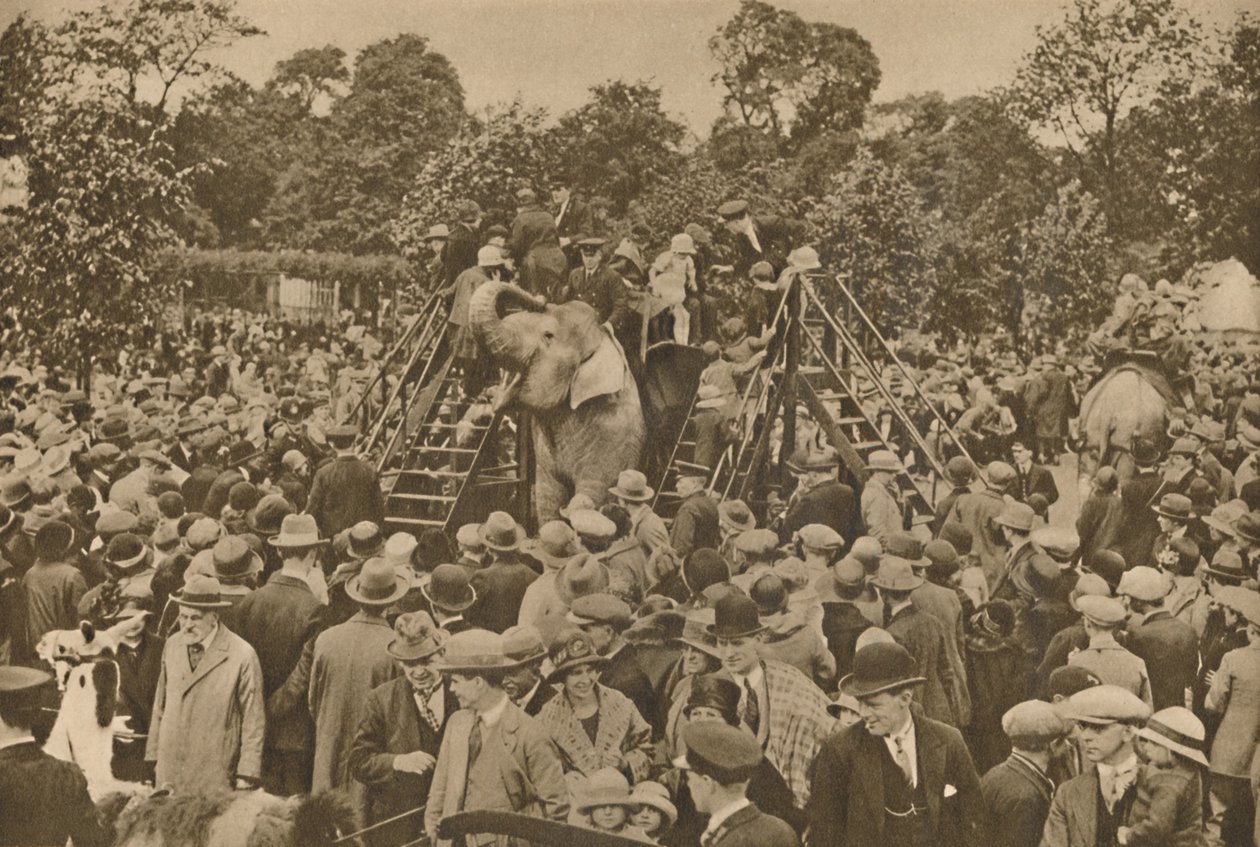 Um dos sinais de nossa civilização: jardins zoológicos bem abastecidos para encantar os curiosos, c193 de Unbekannt