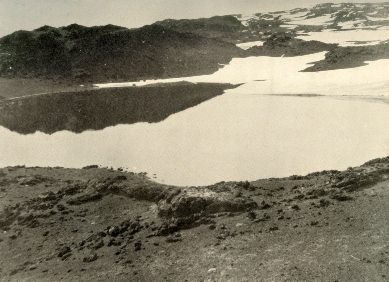 Água aberta no lago verde no verão, 1908, 1909 de Unbekannt