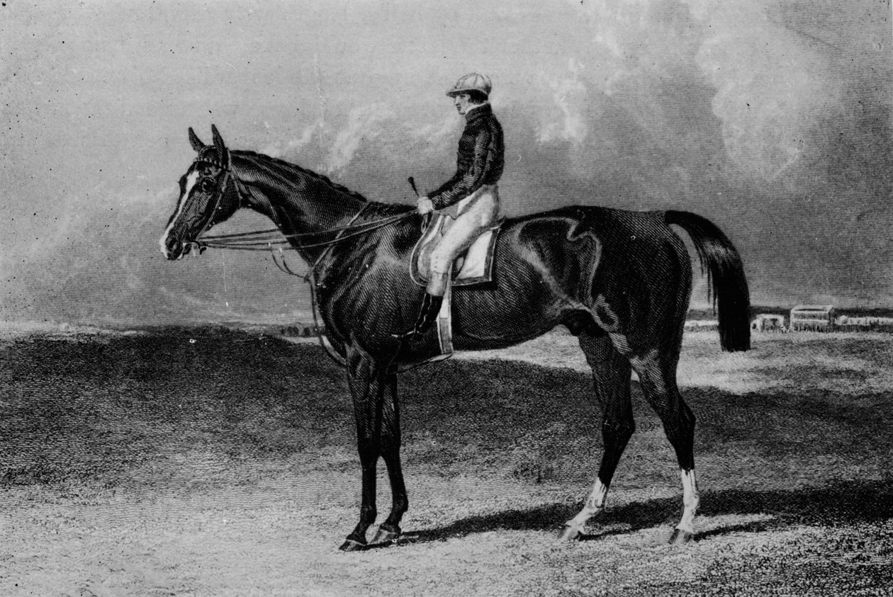 Orlando, c1841-1860, 1911 de Unbekannt