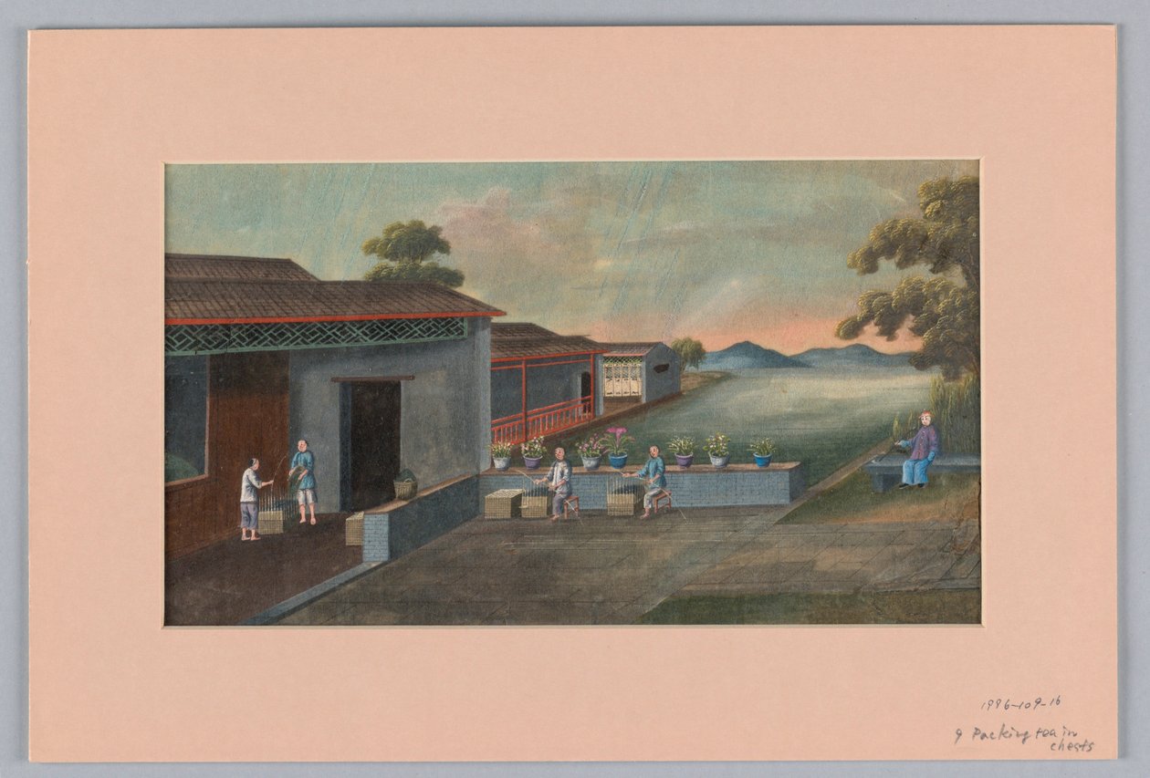Embalagem de Chá em Peitos, 1890-1910 de Unbekannt