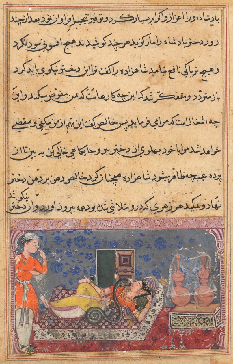Página de Contos de um papagaio Tuti-nama: Décima oitava noite: Khalis retribui ..., c. 1560 de Unbekannt