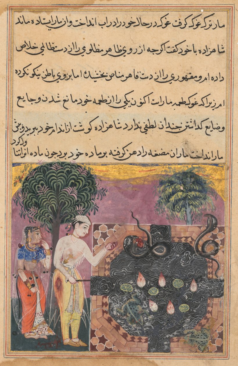 Página de Contos de um papagaio Tuti-nama: Décima oitava noite: O príncipe, c. 1560 de Unbekannt