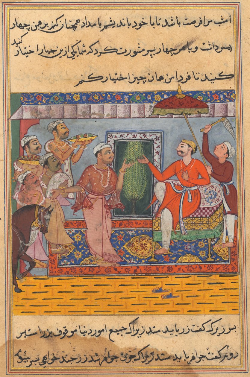 Página de Contos de um papagaio Tuti-nama: Décima primeira noite: O brâmane, incapaz de selecionar ..., c. 1560 de Unbekannt