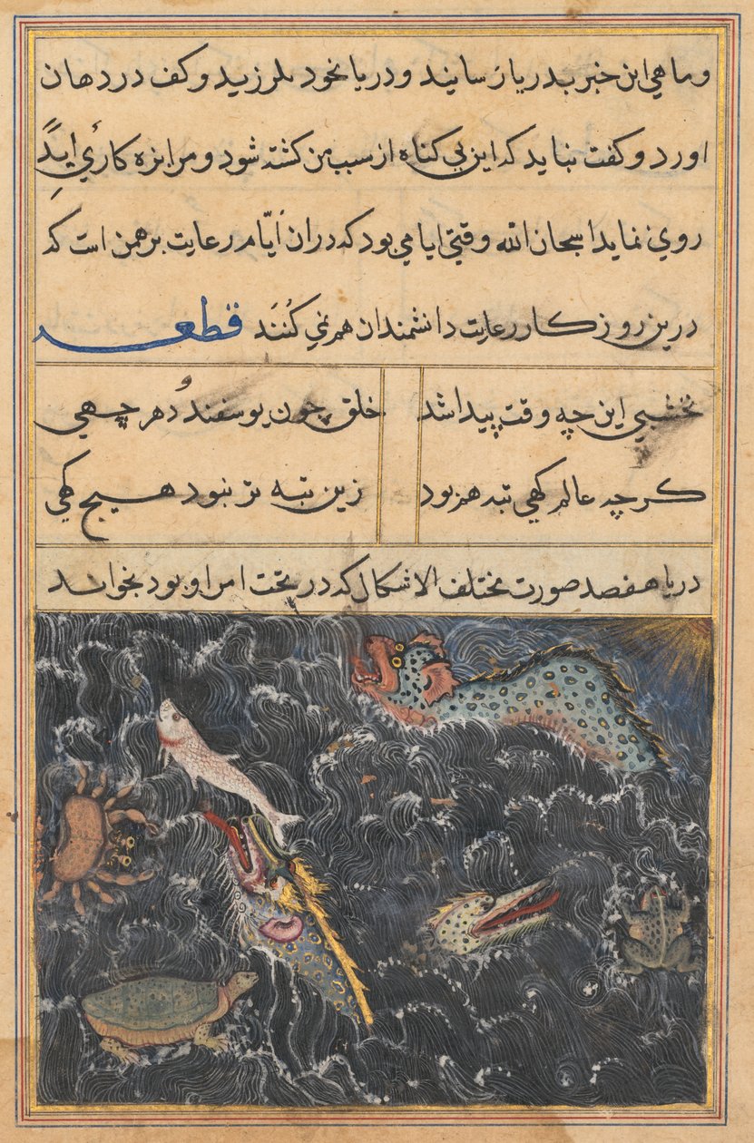 Página de Contos de um papagaio Tuti-nama: Décima primeira noite: As criaturas do mar, c. 1560 de Unbekannt