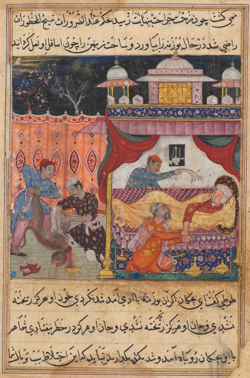 Página de Contos de um papagaio Tuti-nama: Quinta noite: O macaco morto, seu sangue ..., c. 1560 de Unbekannt