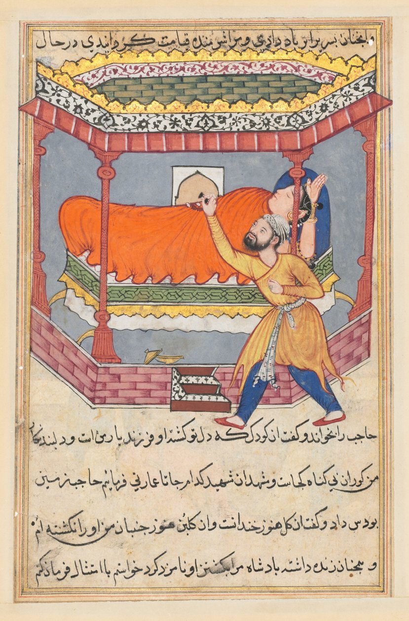 Página de Contos de um papagaio Tuti-nama: Quinquagésima noite: O rei coloca o talismã ..., c. 1560 de Unbekannt