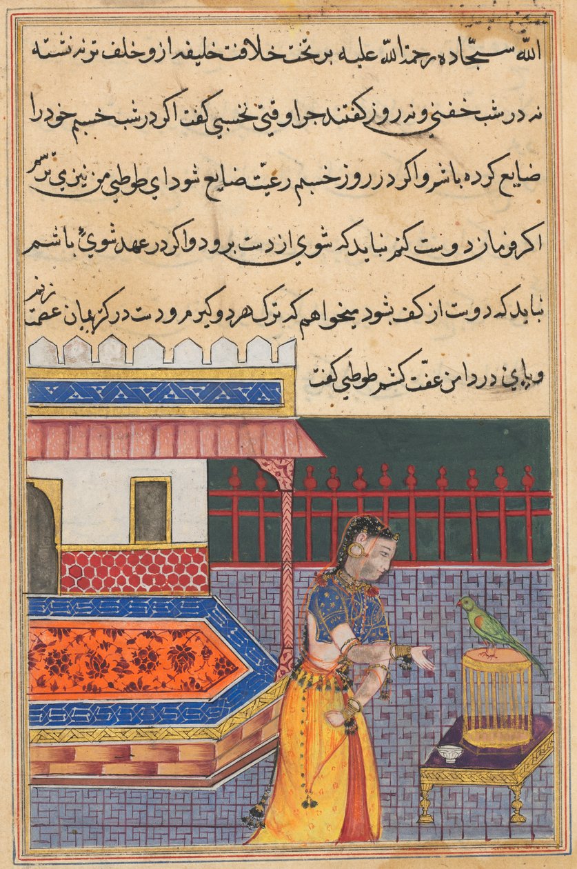 Página de Contos de um papagaio Tuti-nama: Quadragésima primeira noite: O papagaio se dirige a Khujasta ..., c. 156 de Unbekannt