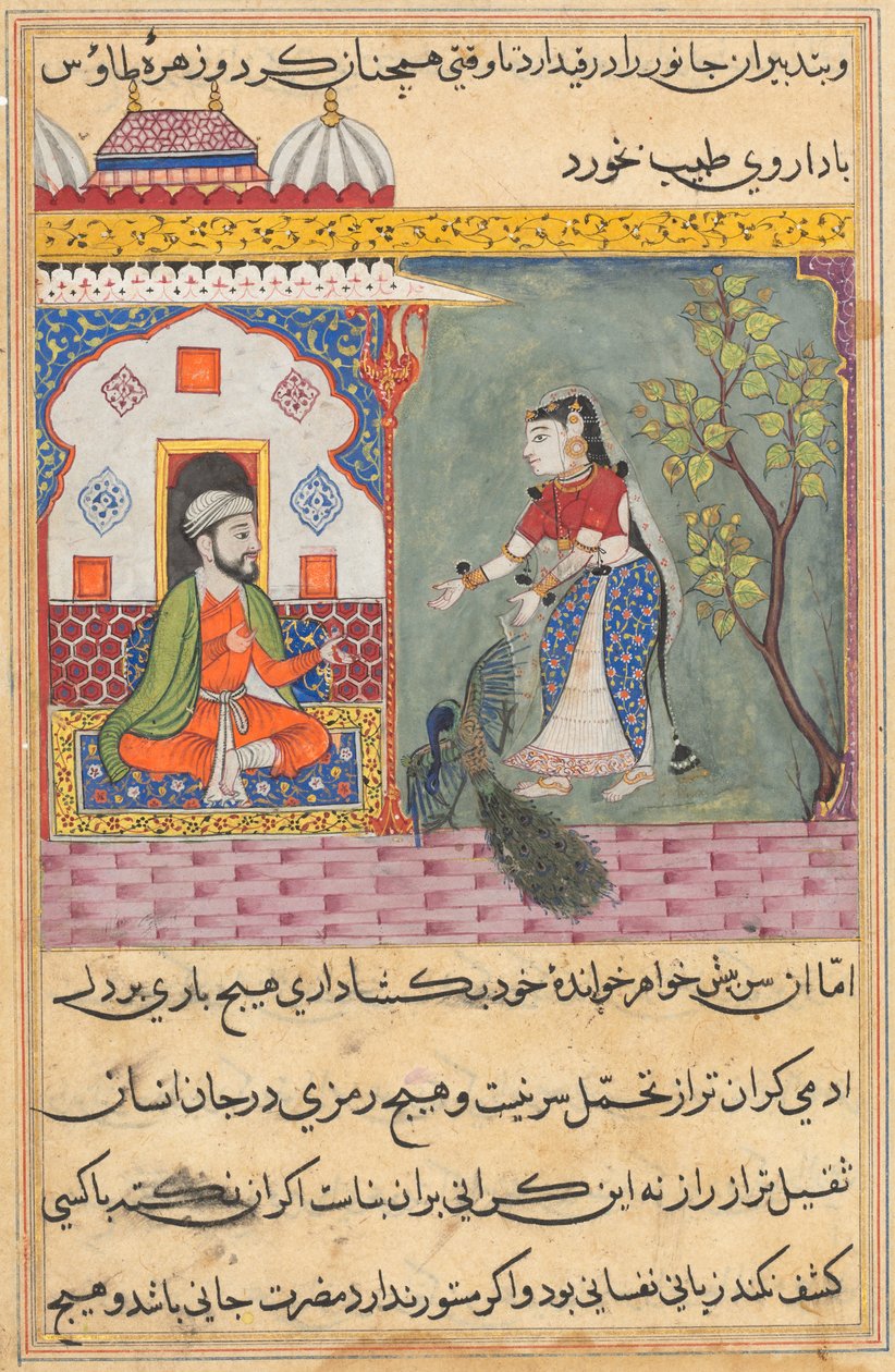 Página de Contos de um papagaio Tuti-nama: Décima nona noite: A esposa dos brâmanes ..., c. 1560 de Unbekannt