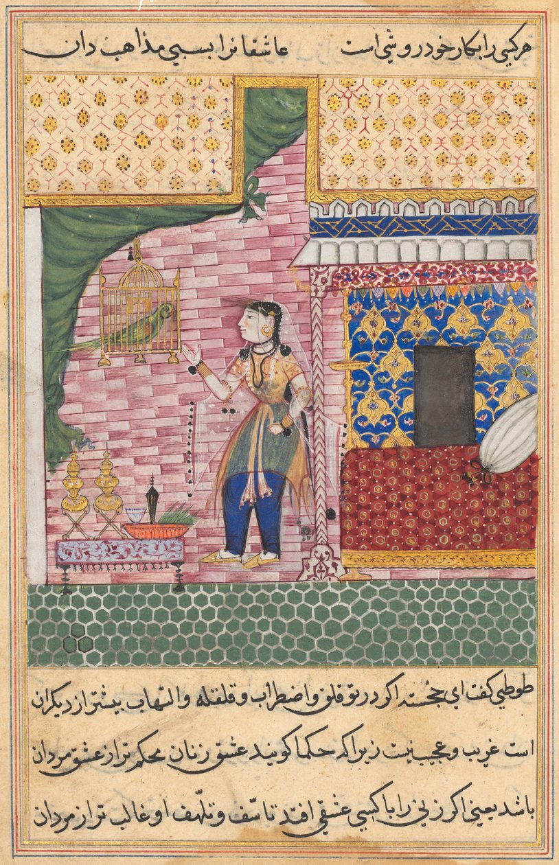 Página de Contos de um papagaio Tuti-nama: Décima sétima noite: O papagaio ..., c. 1560 de Unbekannt