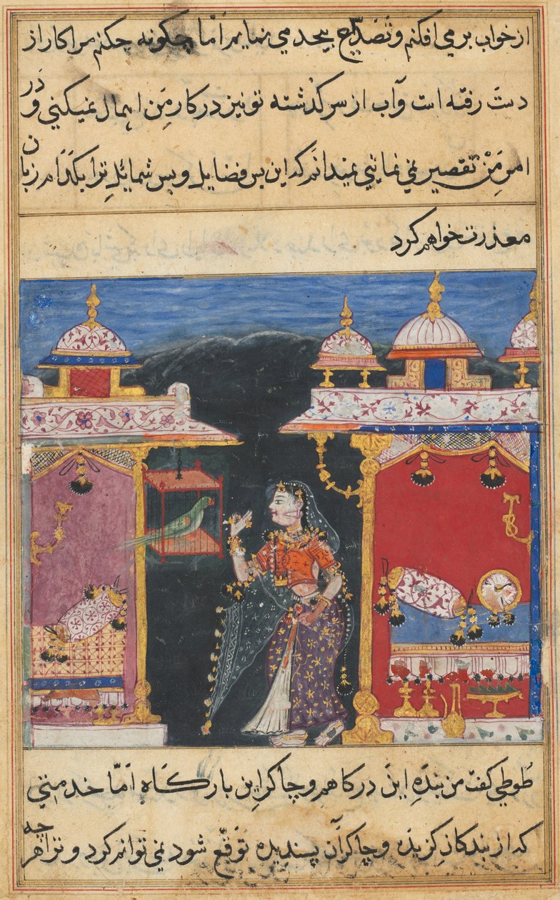 Página de Contos de um papagaio Tuti-nama: Sétima noite: O papagaio se dirige a Khujasta ..., c. 1560 de Unbekannt