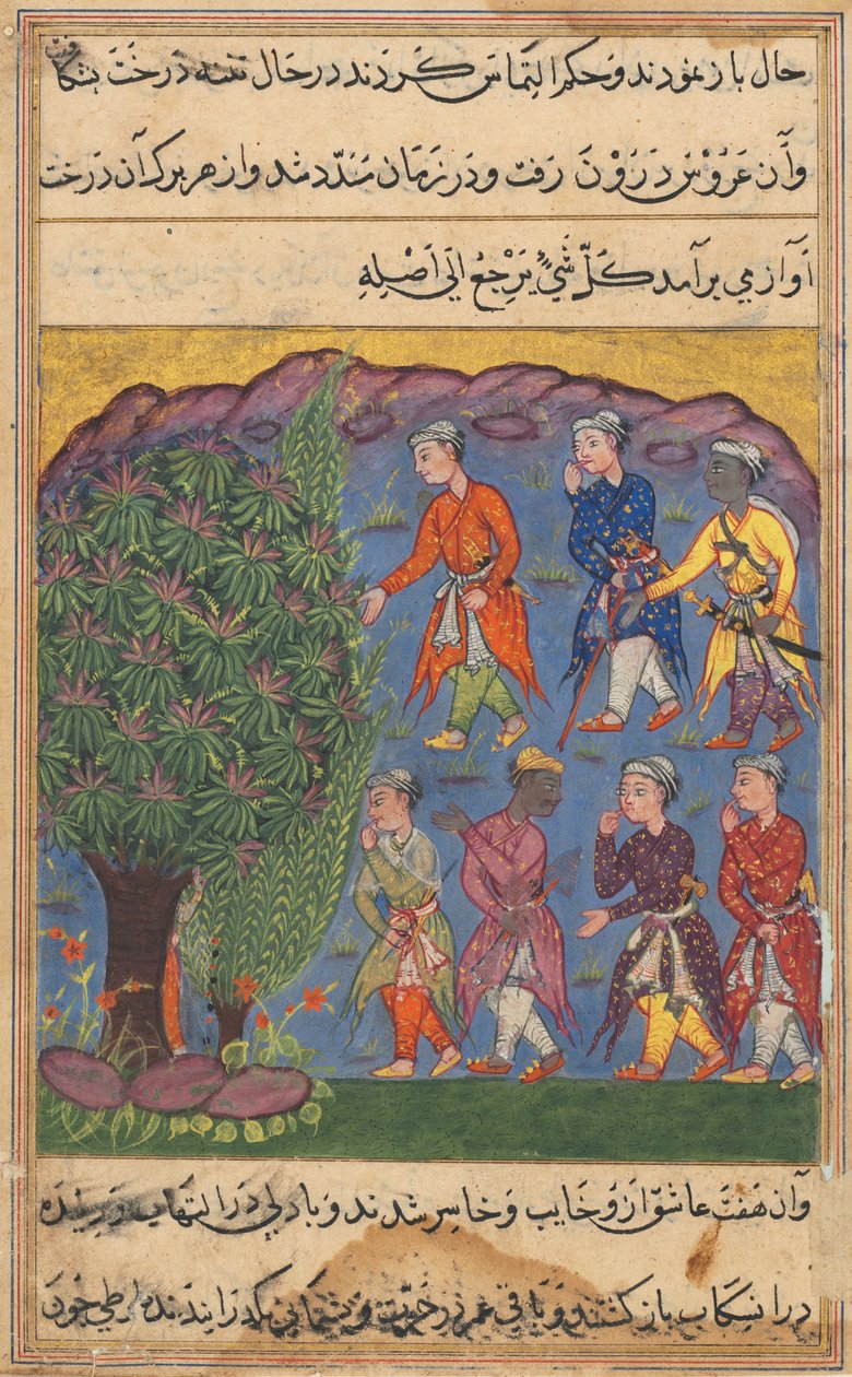 Página de Contos de um papagaio Tuti-nama: Sexta noite: Sete homens disputando posse ..., c. 1560 de Unbekannt