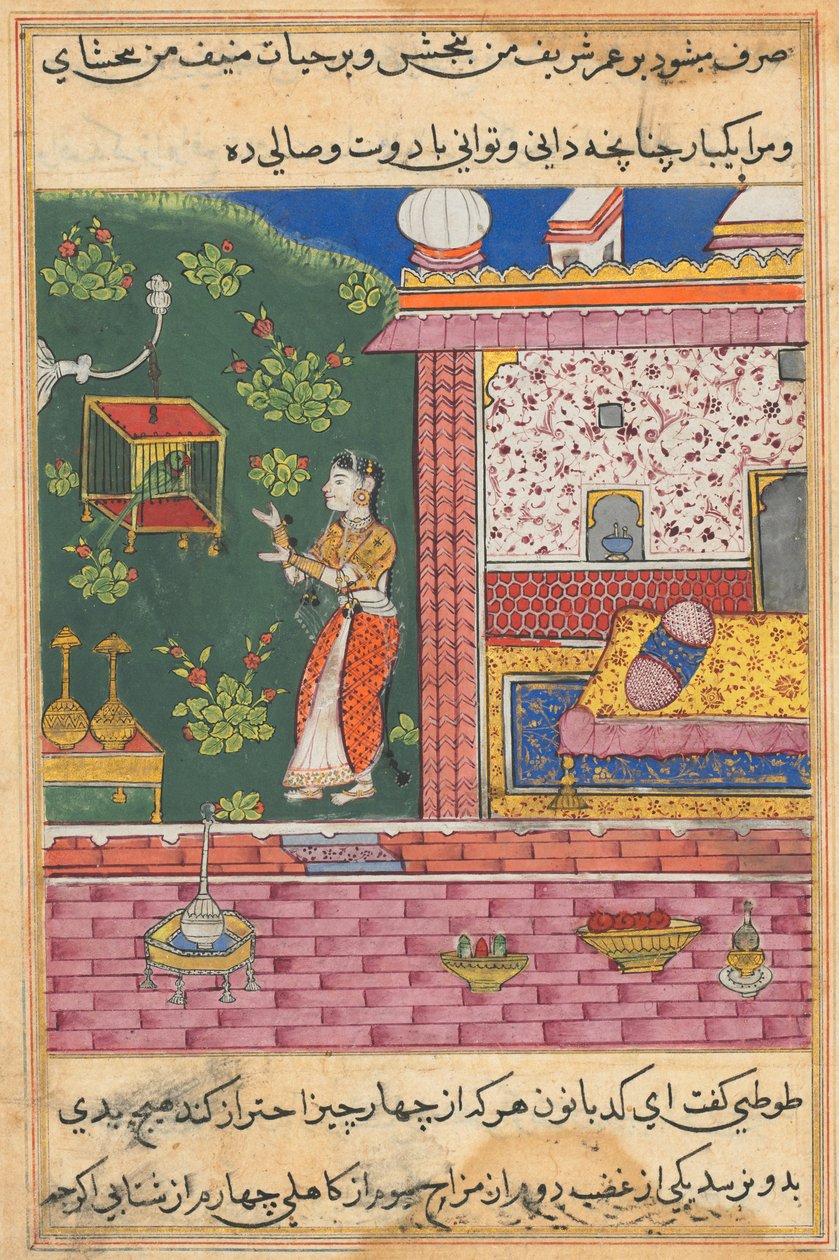 Página de Contos de um papagaio Tuti-nama: Trigésima noite: O papagaio se dirige a Khujasta ..., c. 1560 de Unbekannt