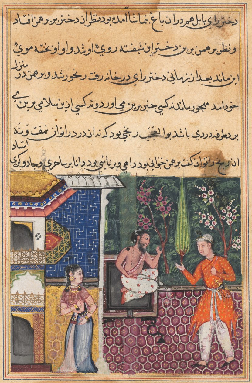Página de Contos de um papagaio Tuti-nama: Trigésima quinta noite: O Brahman dá ..., c. 1560 de Unbekannt