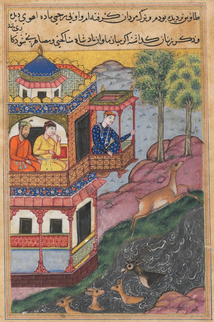 Página de Contos de um papagaio Tuti-nama: Trigésima nona noite: A pintura feita por ..., c. 1560 de Unbekannt