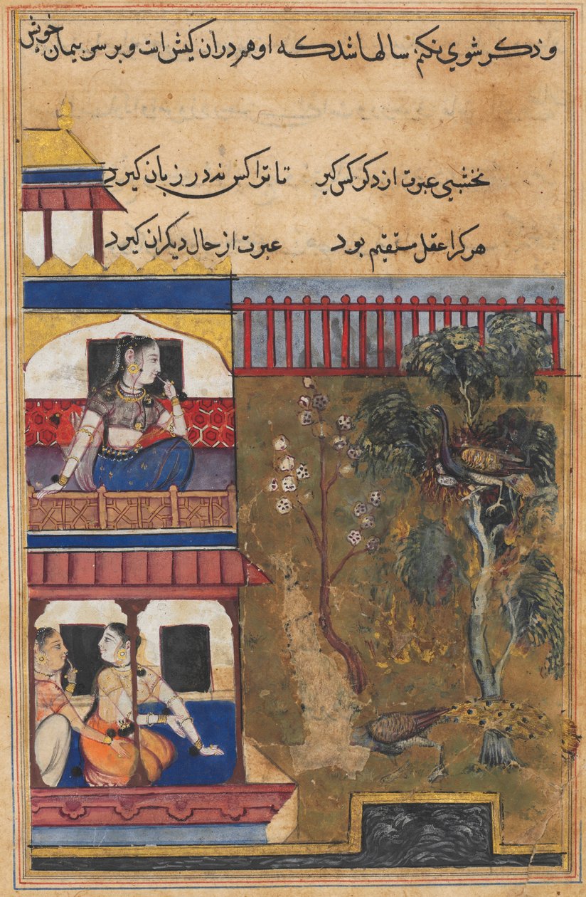 Página de Contos de um papagaio Tuti-nama: Trigésima nona noite: A rainha de Rum ..., c. 1560 de Unbekannt