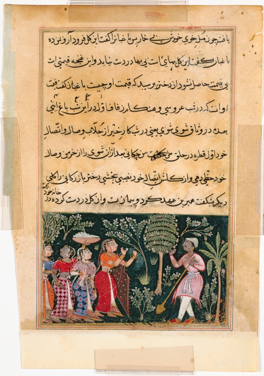 Página de Contos de um papagaio Tuti-nama: Décima segunda noite: A filha do mercador ..., c. 1560 de Unbekannt