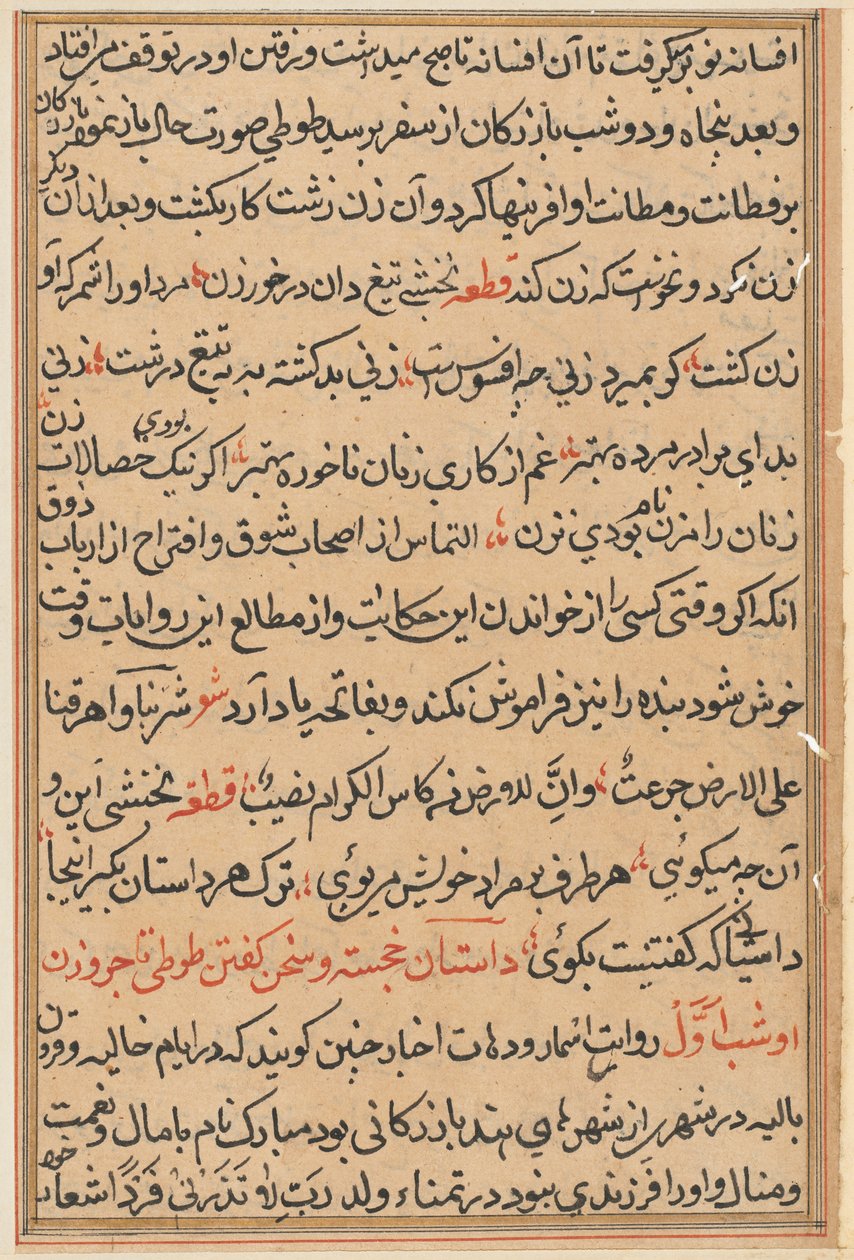 Página de Tales of a Parrot Nome: página de texto, c. 1560. de Unbekannt