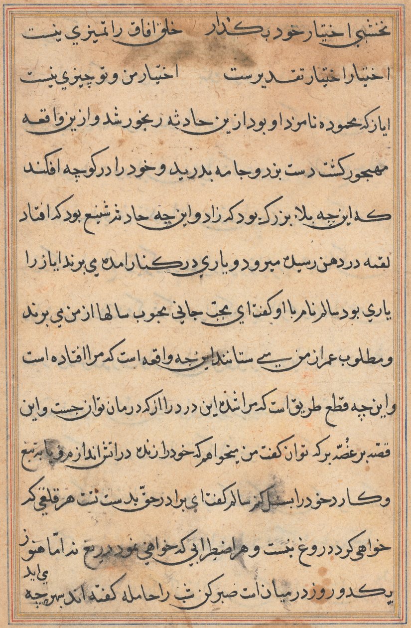 Página de Tales of a Parrot Nome: página de texto, c. 1560. de Unbekannt