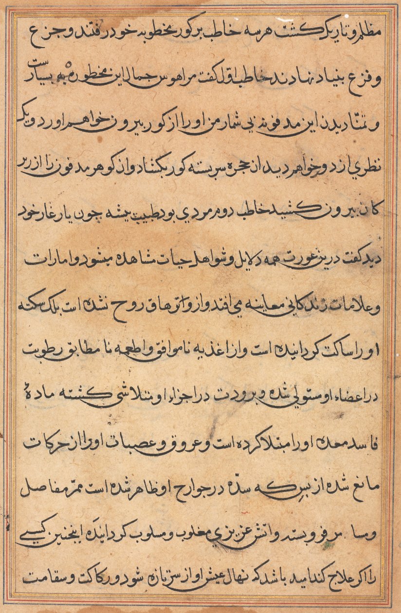 Página de Tales of a Parrot Nome: página de texto, c. 1560. de Unbekannt