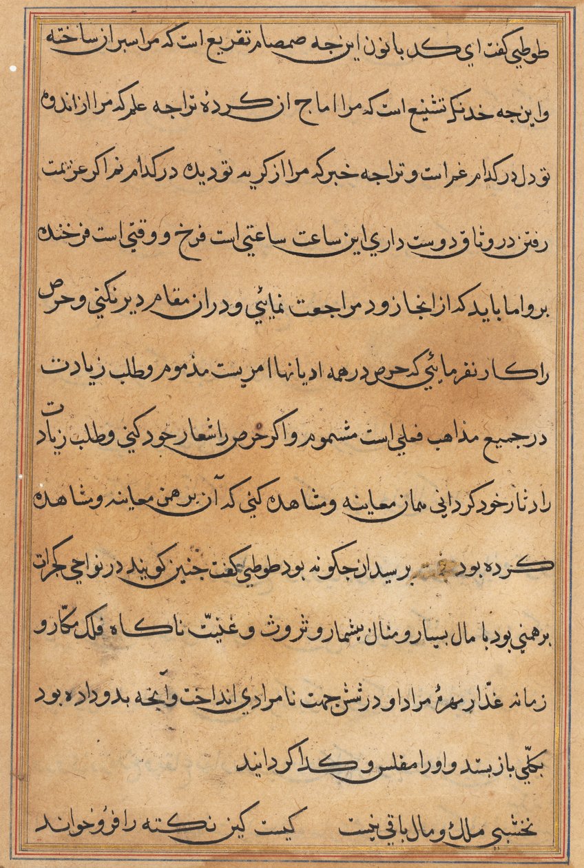 Página de Tales of a Parrot Nome: página de texto, c. 1560. de Unbekannt