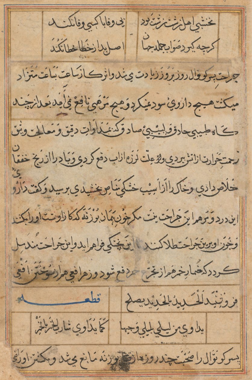 Página de Tales of a Parrot Nome: página de texto, c. 1560. de Unbekannt